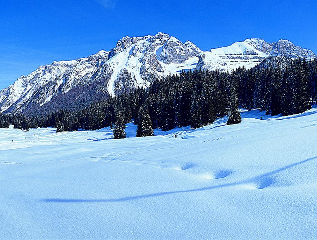 Campiglio Trilocale Monte Spinale Apartment Madonna di Campiglio Room photo